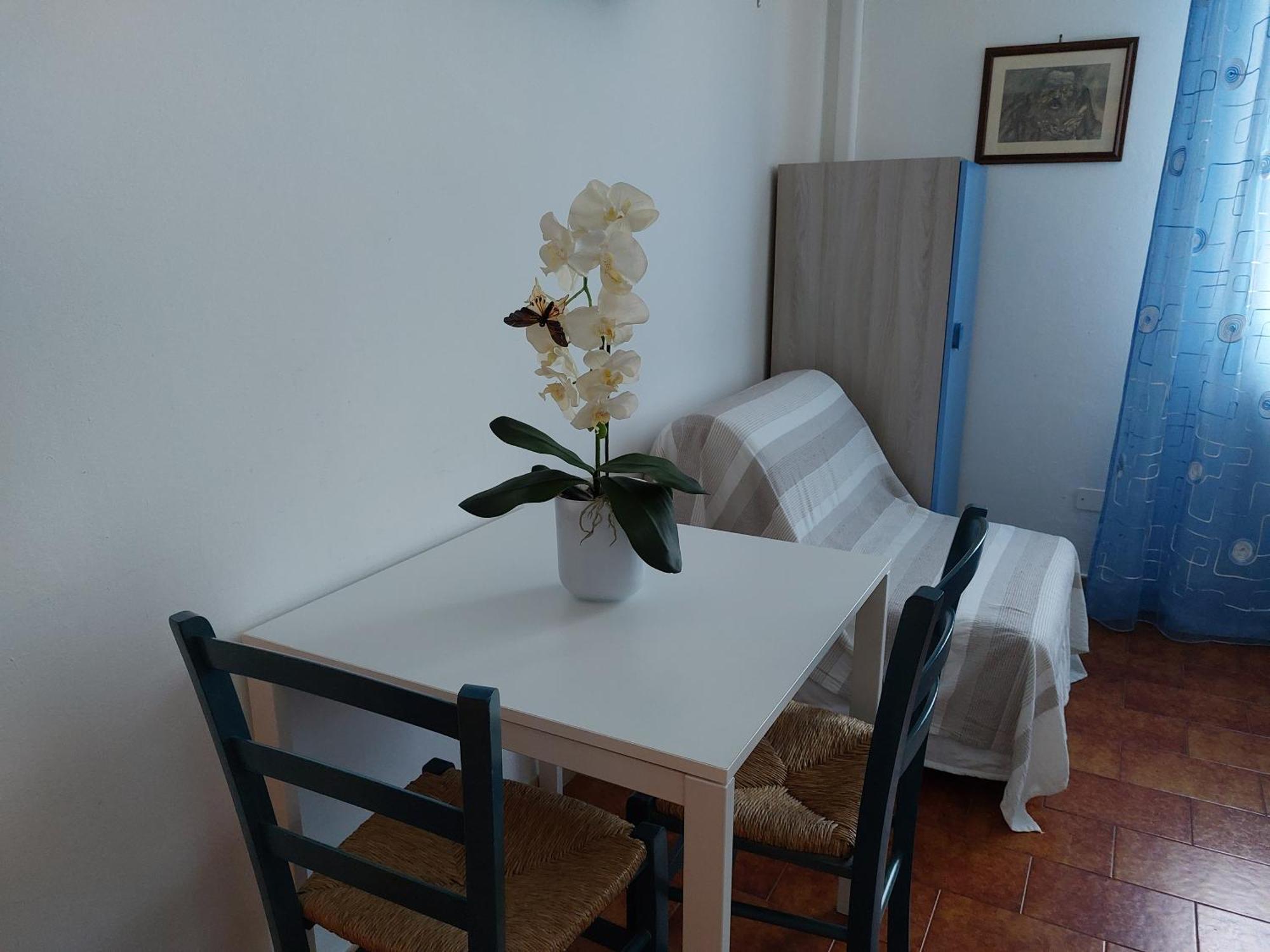 B&B Soleluna Piza Zewnętrze zdjęcie