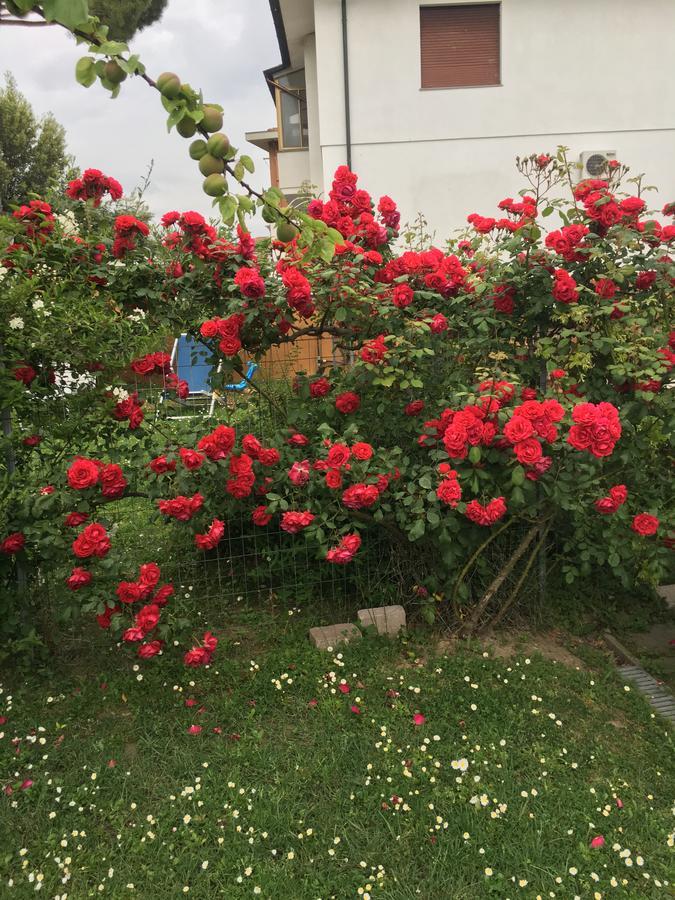 B&B Soleluna Piza Zewnętrze zdjęcie